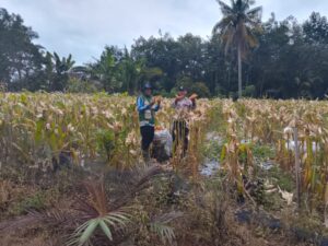 IMG-20260219-WA0076(3)