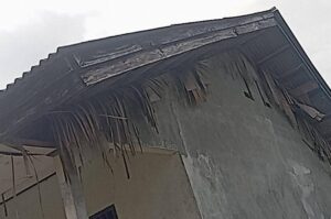 IMG-20260301-WA0201(3)