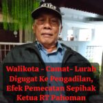 IMG-20260407-WA0177(1)